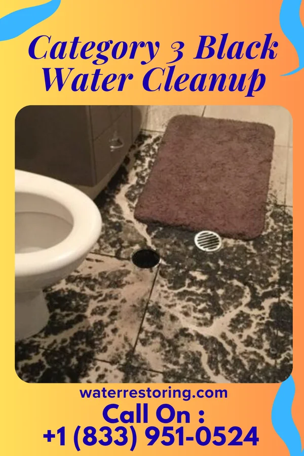 Category 3 Black Water Cleanup in Cleveland, UT
