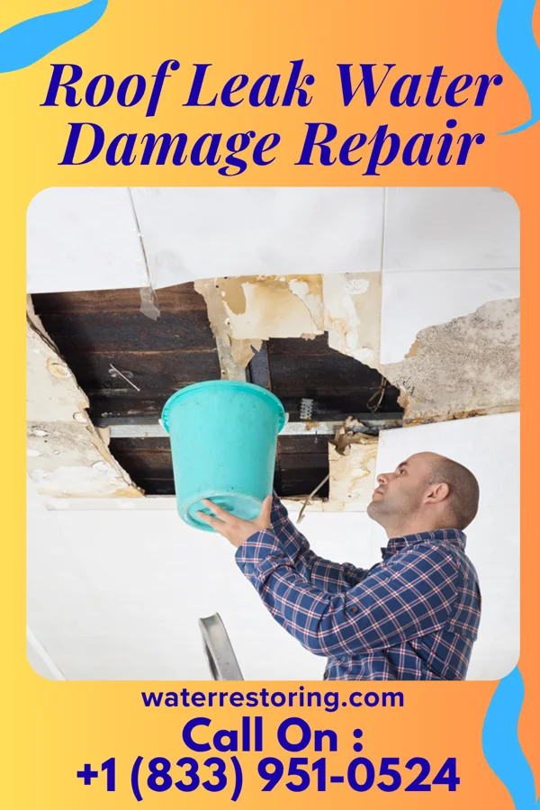 Roof Leak Water Damage Repair in Cleveland, UT