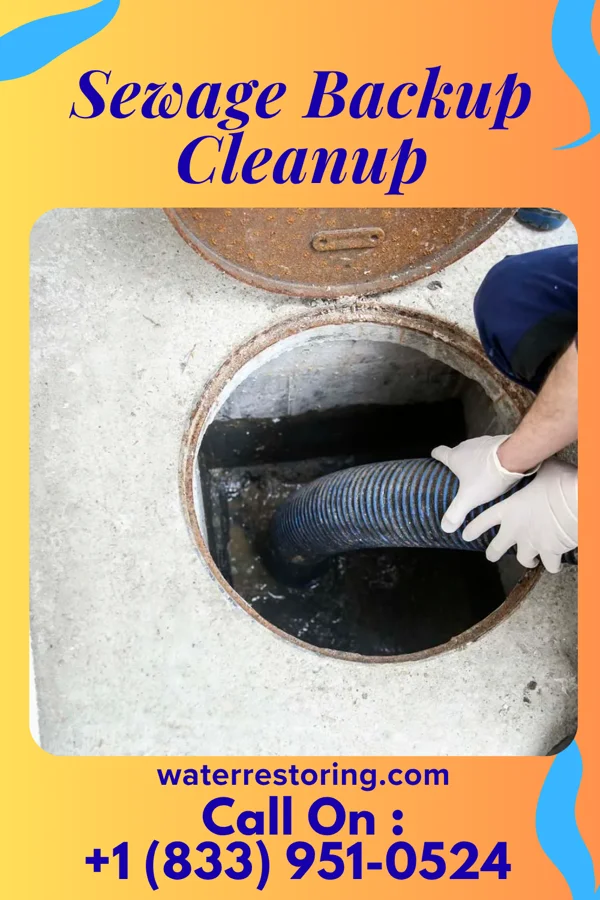 Sewage Backup Cleanup in Cleveland, UT
